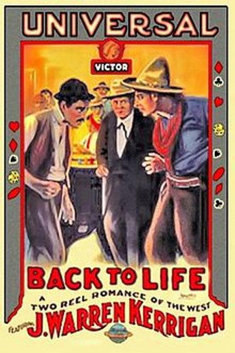 Movie poster for Back to Life (1913)
