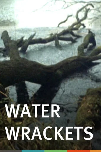 Movie poster for Water Wrackets (1978)