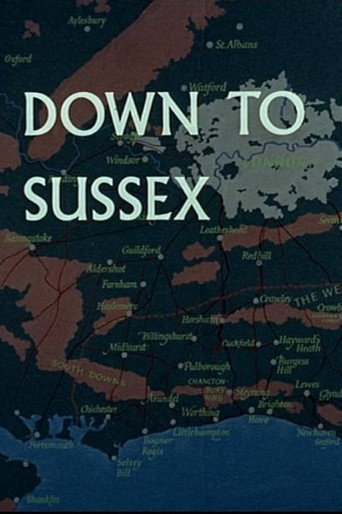 Movie poster for Down to Sussex (1964)
