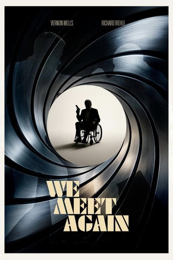 Movie poster for We Meet Again (2025)