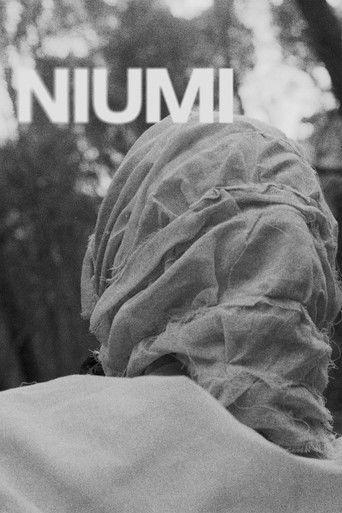 Niumi poster