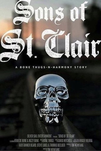 Movie poster for Sons of St. Clair