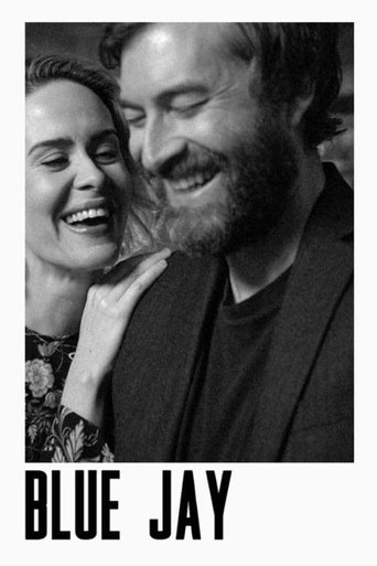 Movie poster for Blue Jay (2016)