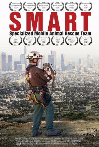 Movie poster for Smart (2015)