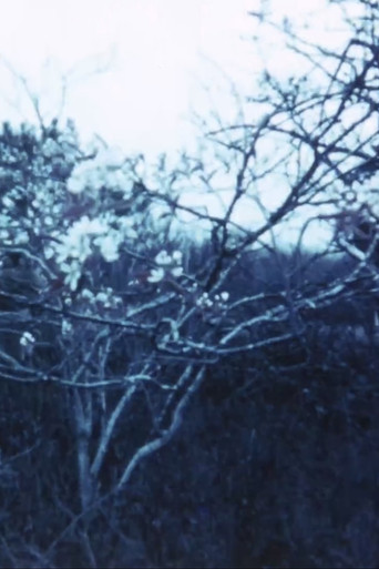Movie poster for Vineyard I (1967)