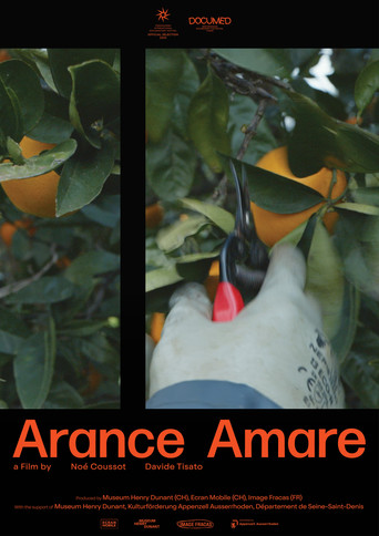 Movie poster for Bitter oranges (2025)
