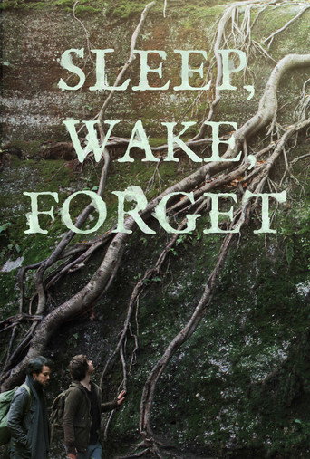 Movie poster for Sleep, Wake, Forget (2024)