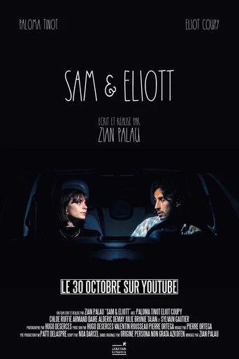 Movie poster for Sam & Eliott (2024)