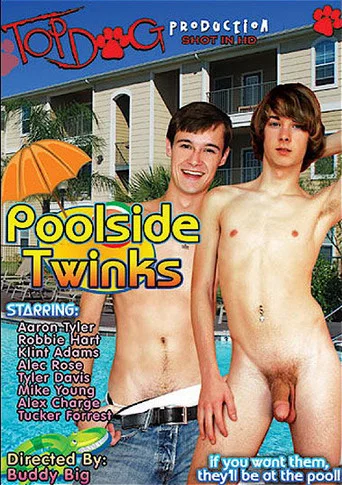 Movie poster for Poolside Twinks (2010)