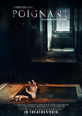 The Tormenting poster