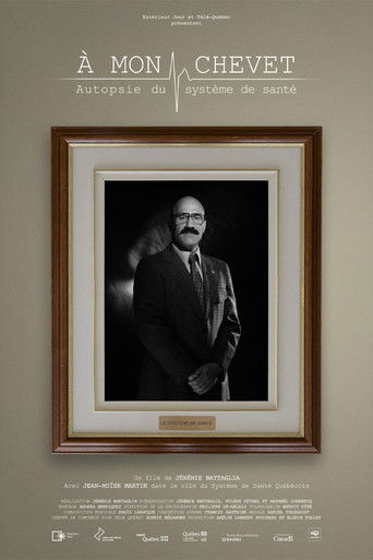 At my bedside: an autopsy of the healthcare system poster