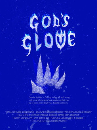Movie poster for God's Glove (2026)