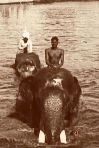 Edward Prince of Wales' Tour of India: Indore, Bhopal, Gwalior and Delhi poster