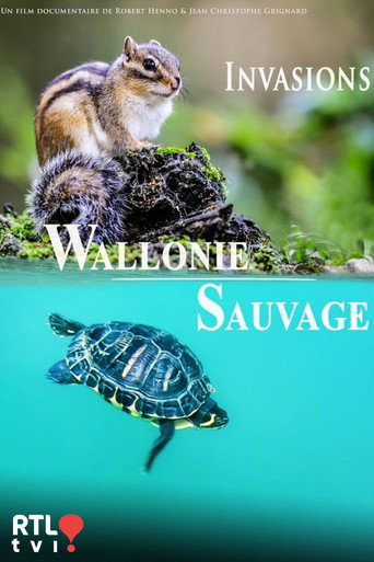 Wallonie sauvage poster