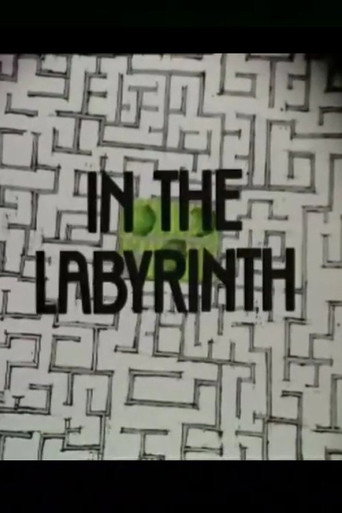 In the Labyrinth poster