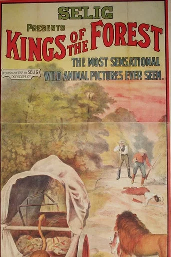 Movie poster for Kings of the Forest (1912)