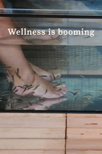 Series poster for Wellness is Booming (2012)