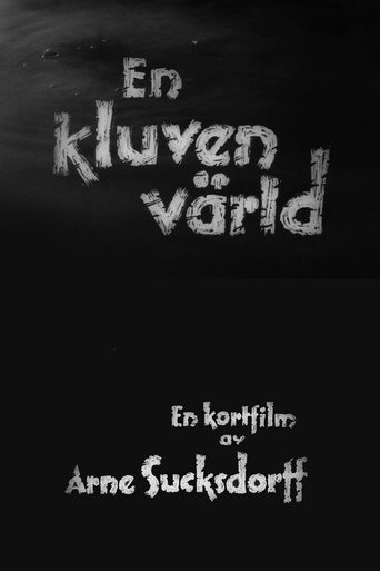 Movie poster for A Divided World (1948)