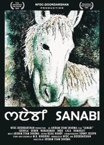Movie poster for The Grey Mare (1994)