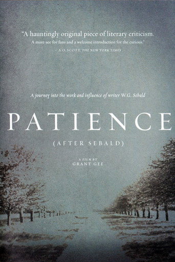 Movie poster for Patience (After Sebald) (2012)
