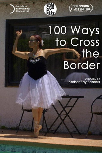 Movie poster for 100 Ways to Cross the Border (2022)
