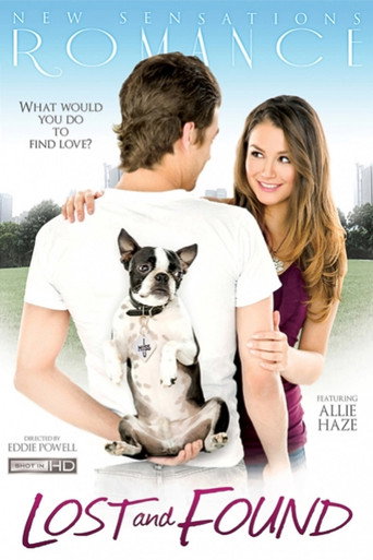 Movie poster for Lost and Found (2011)