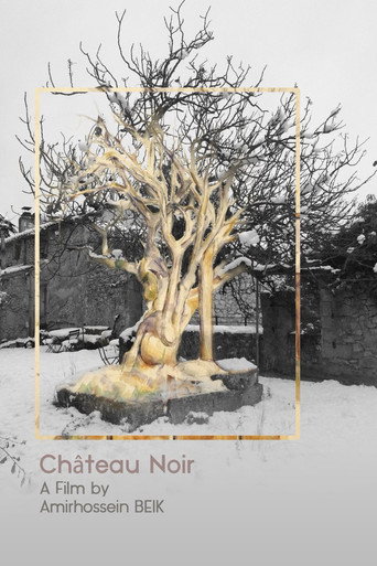 Movie poster for Château Noir (2022)
