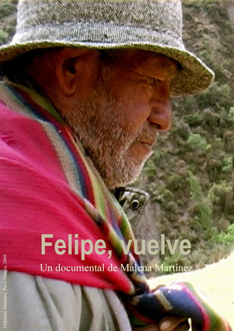 Movie poster for Felipe, comeback (2009)