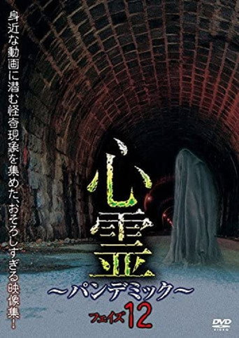 Movie poster for Spirit Pandemic Phase 12 (2018)