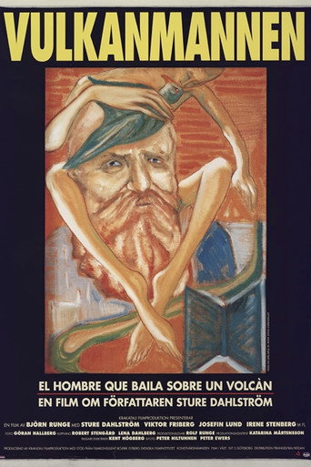 Movie poster for The Volcano Man (1997)