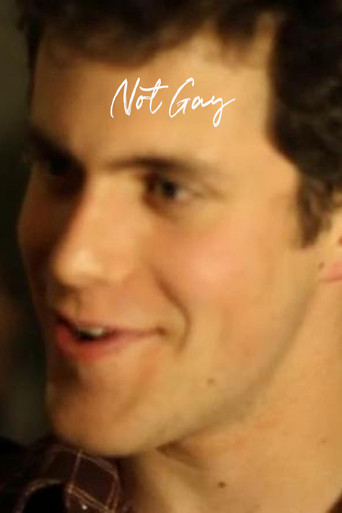 Movie poster for Not Gay (2013)