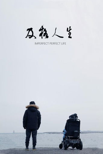 Imperfect Perfect Life poster