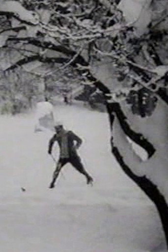 Movie poster for Max Skiing (1910)