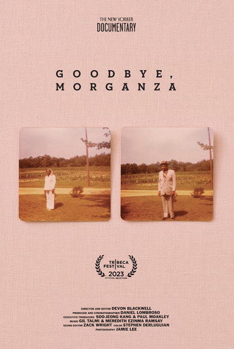 Movie poster for Goodbye, Morganza (2023)