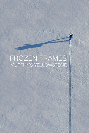 Frozen Frames: Murphy's Yellowstone poster