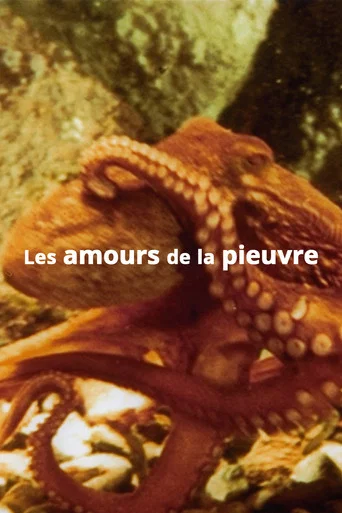 Movie poster for The Love Life of an Octopus (1967)
