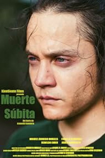 Movie poster for Muerte Súbita (2017)