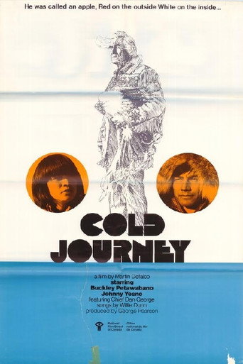Cold Journey poster