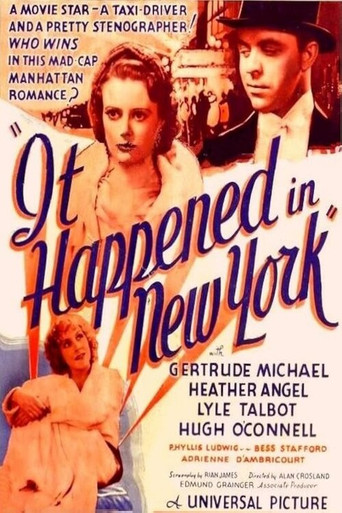 It Happened in New York poster