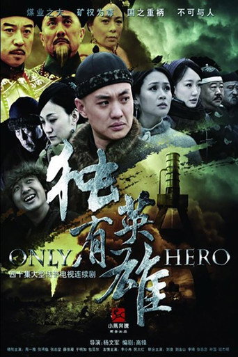 独有英雄 poster