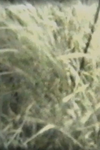 Movie poster for Grass (1967)