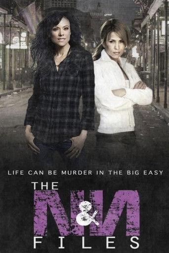 Nikki & Nora: The N&N Files poster