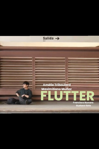 Movie poster for Flutter (2024)