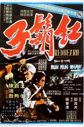 Movie poster for Redbeard (1971)