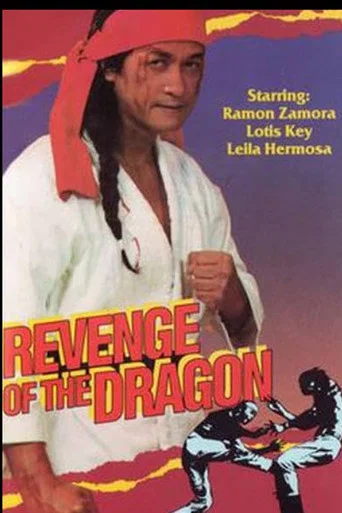 Movie poster for Revenge of the Dragon (1977)
