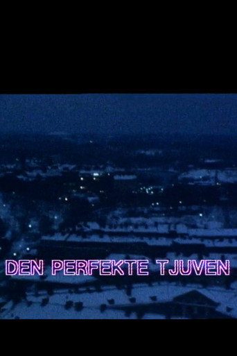 Den perfekte tjuven poster