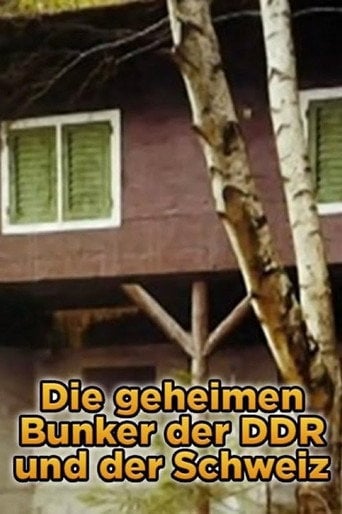 Movie poster for Die geheimen Bunker der DDR und der Schweiz (2013)