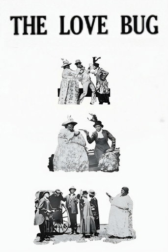 Movie poster for The Love Bug (1919)