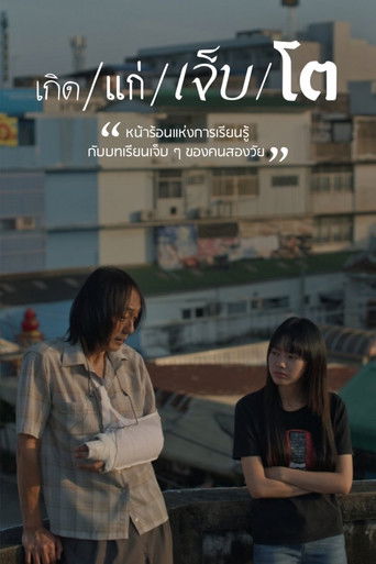 The Summer We Met poster