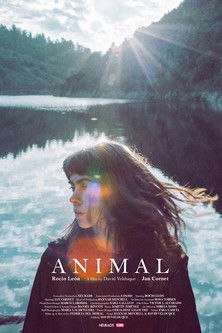 Animal poster